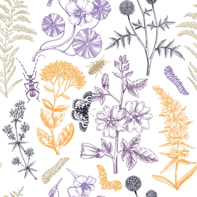 Hand drawn summer background. Garden flowering plants with insects design. Floral seamless pattern. Botanical illustrations for textile, fabric, packaging. Hibiscus, mallow, primrose, thistle sketches